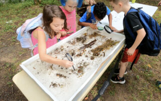 Swain STEM Camp- Kids learn about fish and microorganisms in the Tuckasegee River